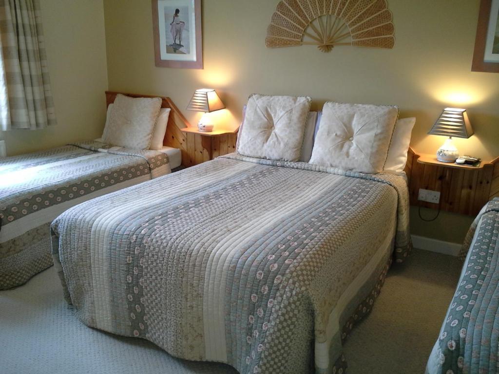 Fern Rock Bed And Breakfast Dromin Phòng bức ảnh