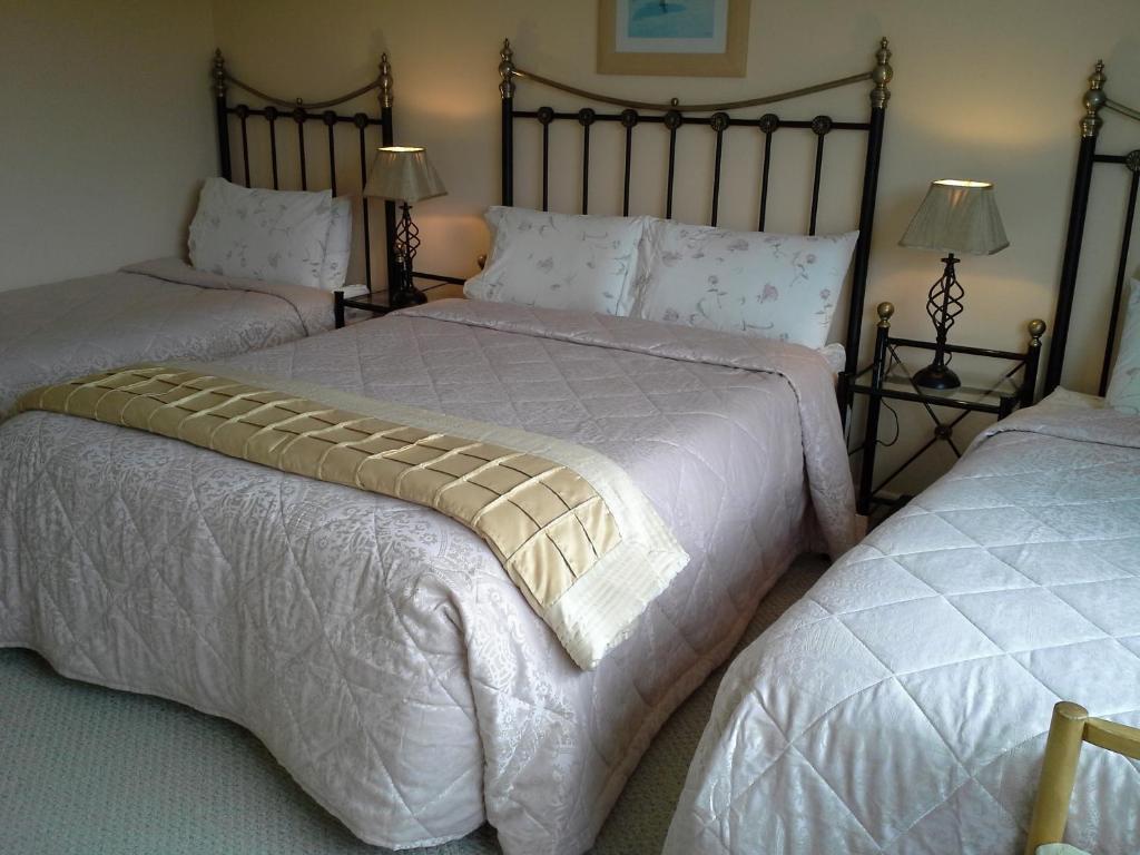 Fern Rock Bed And Breakfast Dromin Phòng bức ảnh